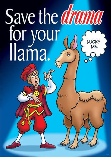 Save the drama for your llama.