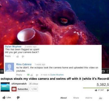 Someone has posted a video from where an octopus took the camera while it was recording video.  A person comments asking if the person got the camera back.  Another smart-alec commenter replies saying that the person did not get back the camera but the ocotpus took the camera home and uploaded the video.