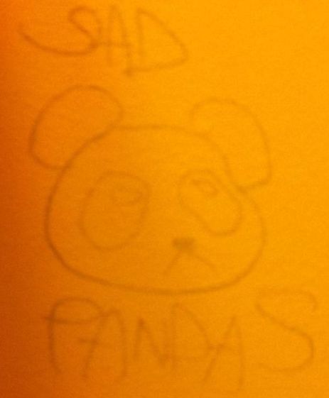 Someone drew a panda face and wrote 