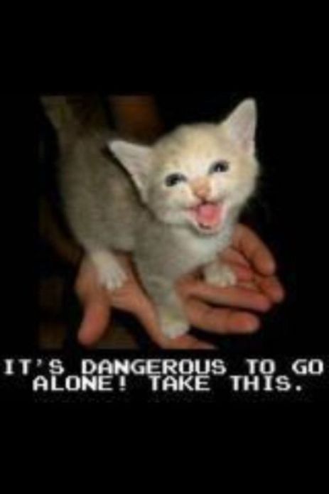 Caption:  It's dangerous to go alone.  Take this.  Picture:  A meowing kitten.